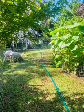 Bird Paradise & mini farm